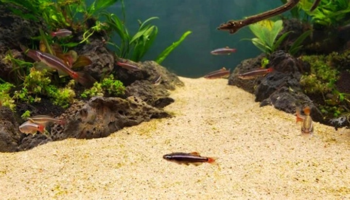 Czysty Piasek Kwarcowy do Akwarium 0,5-1,2 25KG