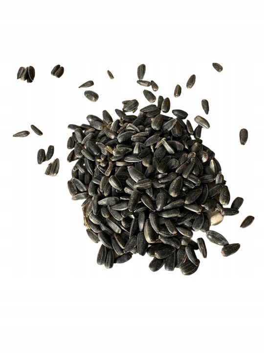 Słonecznik czarny 20 kg