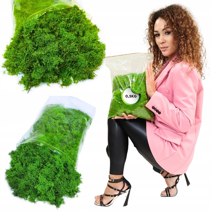 Mech CHROBOTEK RENIFEROWY fiński 500g ŚCIÓŁKA jasno zielony