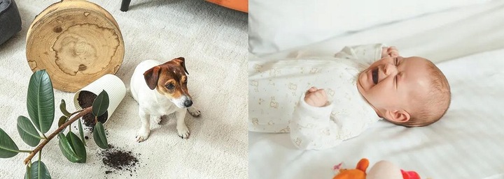 Kamera Ip Imou Ranger Dual 3MP + 5MP