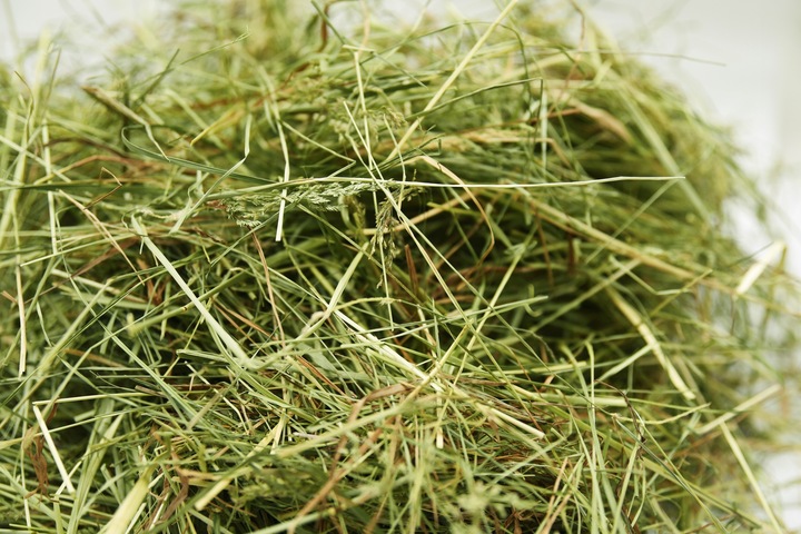 SIANO DUŻA KOSTKA ZIELONE PACHNĄCE - EKO DO 14 KG