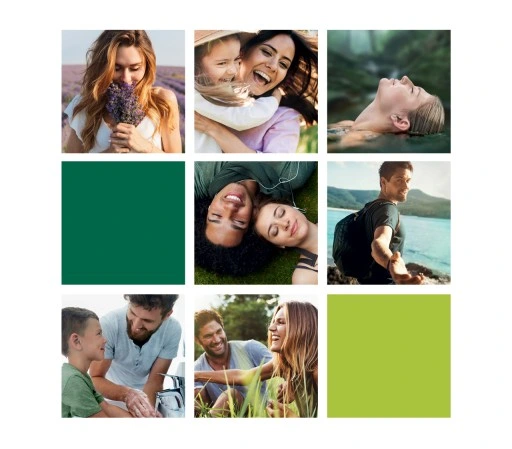 Palmolive Aroma Essence żele pod prysznic 4x500 ml