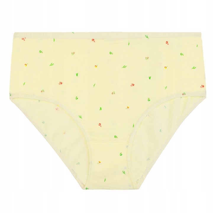 MAJTKI DAMSKIE BAWEŁNIANE MORAJ PLUS SIZE KLASYCZNE 4-PAK. ROZM. 4XL