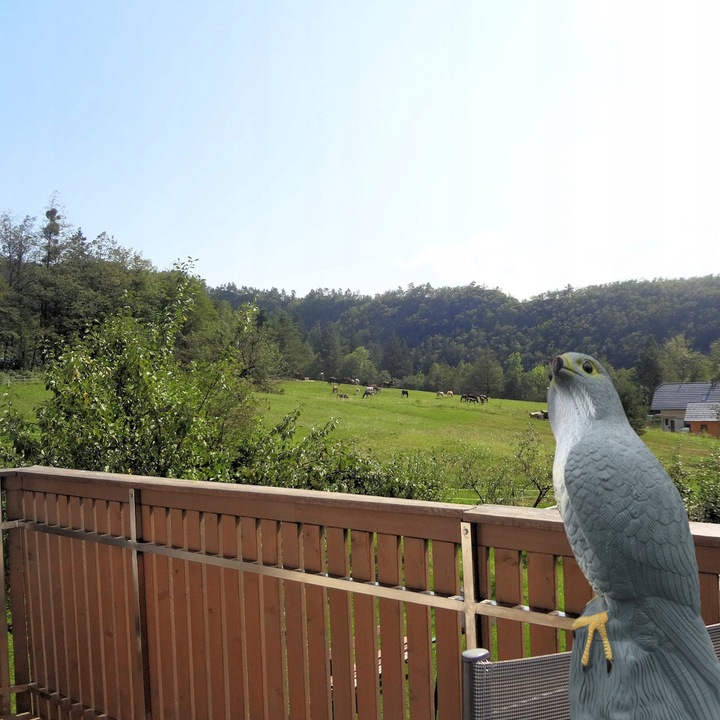 DUŻY ODSTRASZACZ PTAKÓW GOŁEBI SZPAKÓW SOKÓŁ na skale EFEKT BŁYSZCZĄCE