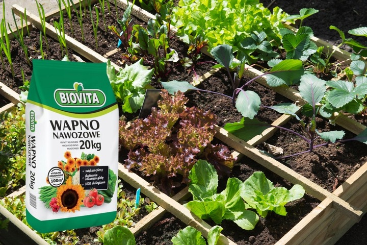 Wapno Nawozowe Pyliste Naturalne Źródło Wapnia dla Gleby 20kg Biovita