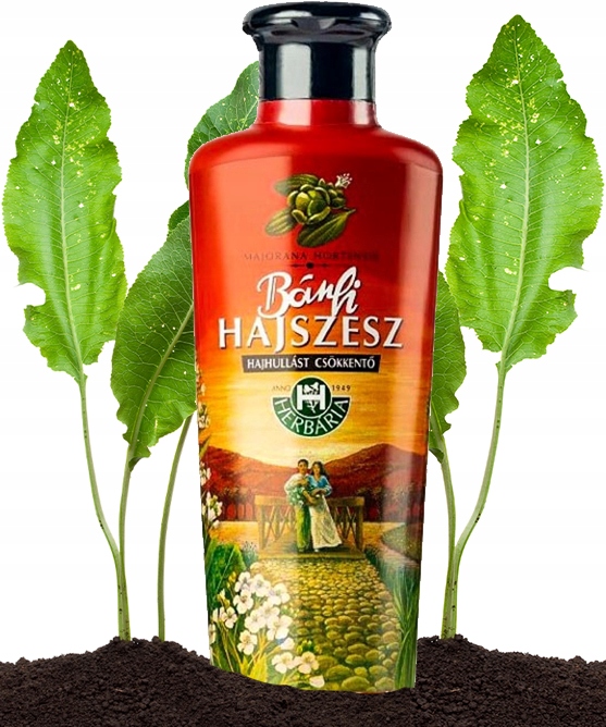 BANFI HAJSZESZ Wcierka do włosów KLASYCZNA 250 ml na WYPADANIE POROST