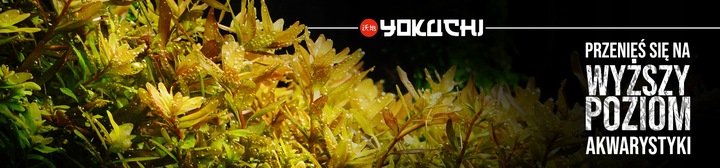 YOKUCHI Jiban Soil - 10L - czarne podłoże aktywne do akwarium