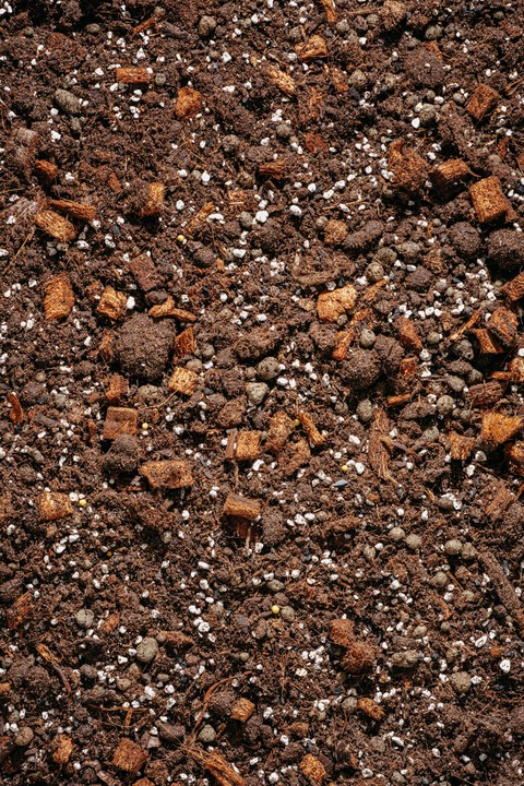 Ziemia do HOYI, PEPEROMII, ZAMIOCULCAS 3L bigos, podłoże HOI,