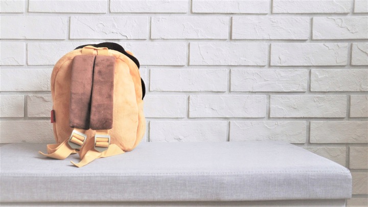 Plecak dla przedszkolaka pluszowy prezent dla chłopca 4 lata Maskotka Lew