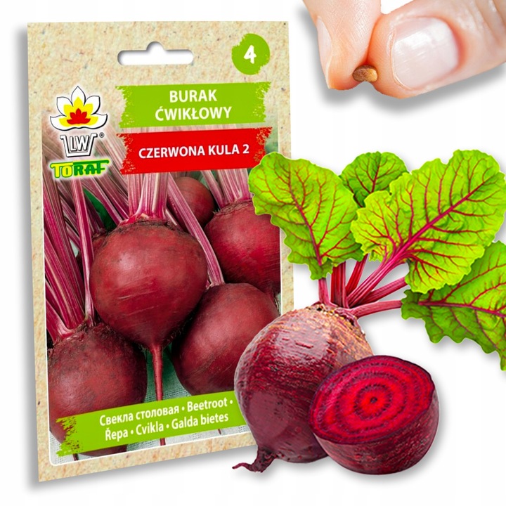 Nasiona warzyw marchew ogórek pietruszka burak NA DOBRY START UDANE PLONY