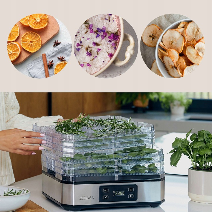 Suszarka spożywcza DUŻA Suszarka DO GRZYBÓW OWOCÓW WARZYW ZIÓŁ TIMER
