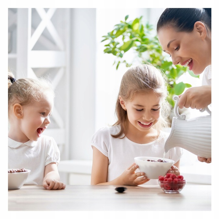 GRANOLA KLASYCZNA 3 KG BEZ OLEJU PALMOWEGO ZE SŁONECZNIKIEM LNEM MUSLI