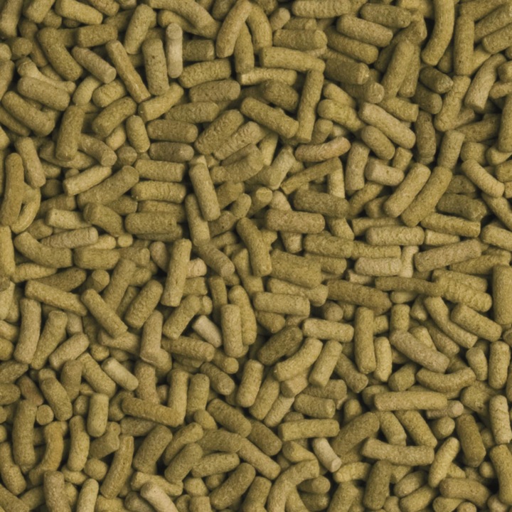 TROPICAL BIOREPT L POKARM DLA ŻÓŁWI LĄDOWYCH 5l 1,4kg