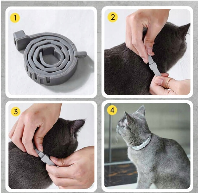 Obroża na pchły i kleszcze dla kota w wieku 8 miesięcy 32 CM