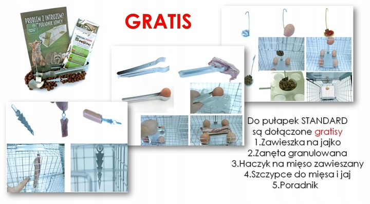 żywołapka pułapka na kuny, koty, lisy super szybka