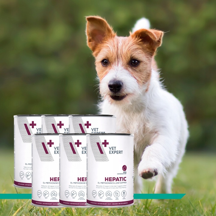Mokra karma dla psów wsparcie wątroby kurczak Vet Expert Hepatic 6 x