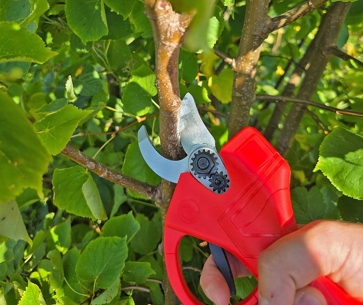 SEKATOR AKUMULATOROWY Ogrodowy Elektryczny Nożyce do Gałęzi Li-Ion 48V