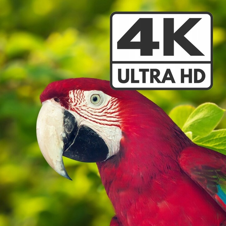 Splitter HDMI 4K Multi Viewer 4x1 Spacetronik SPH-MV41PIP-Q2 Rozdzielacz