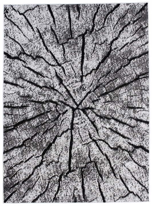 DYWAN CANVAS 160x220 BCF MODNY PIEŃ DRZEWA x39