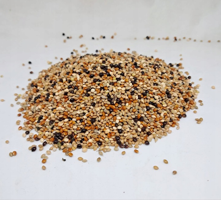 PetRa Proso ŚWIATA karma pokarm dla ptaków papug falistych egzotyka 10