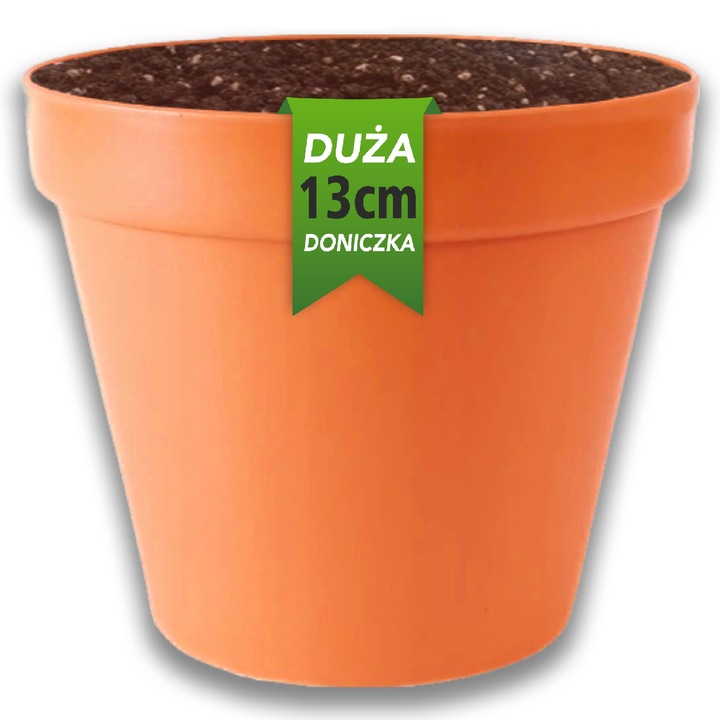 Zestaw do uprawy roślin Żywe Kamienie LITHOPS nasiona sukulenty Kolory