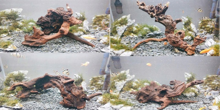 NATURALNY KORZEŃ DO AKWARIUM DESERT ROZMIAR M 20CM