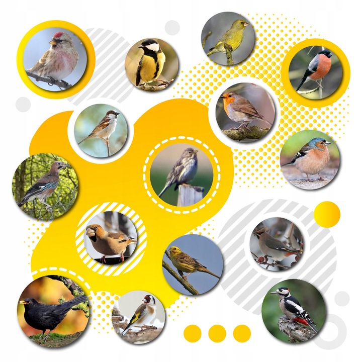 KARMA DLA PTAKÓW 20kg ZE SŁONECZNIK DROBNE ZIARNO DO KARMNIK + PLAKAT