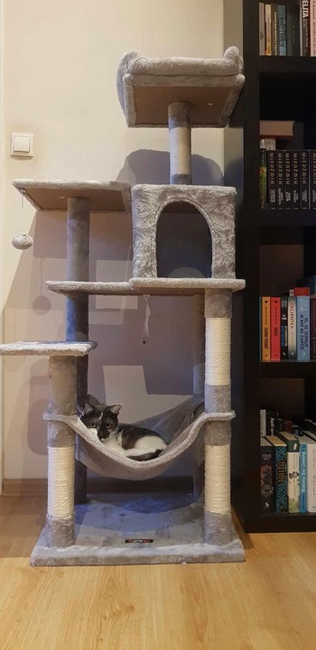 DRAPAK DLA KOTA DUŻY XL 6 POZIOMÓW WYSOKI LEGOWISKO SŁUPEK DOMEK 143cm