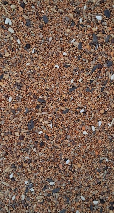 Uniwersalna karma całoroczna dla ptaków ziarno karmnik Drobne nasiona 20kg