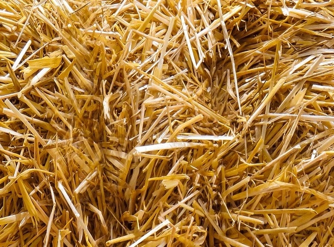 Słoma na kompost, do budy, Legowisko dla psa, Ściółka Dla Gryzoni, 80L