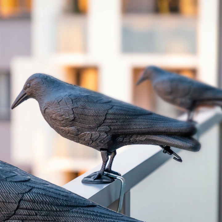 DUŻY KRUK ODSTRASZACZ PTAKÓW GOŁĘBI SZPAKÓW PTAKI NA BALKON CZARNY 3