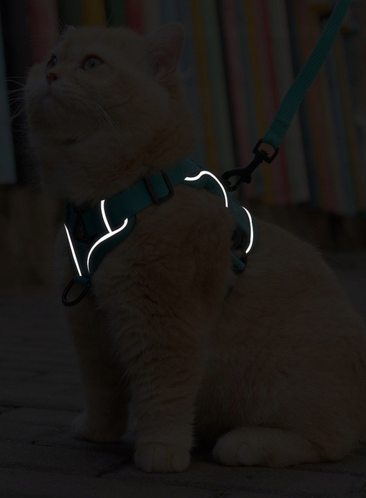 SZELKI BEZUCISKOWE TYPU GUARD + SMYCZ dla KOTA PSA