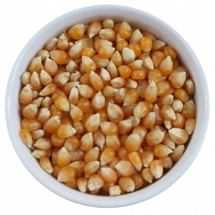 POPCORN KUKURYDZA do prażenia ziarno bez soli 10kg