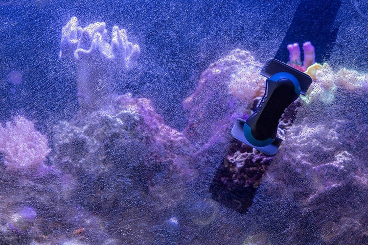 Tunze 0220.010 Care Magnet Nano