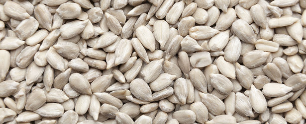 SŁONECZNIK ŁUSKANY KARMA DLA DZIKICH PTAKÓW GOŁĘBI PAPUG POKARM ZIMOWY 25KG