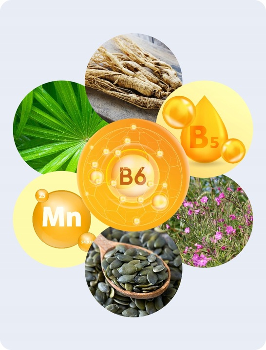 Proctotivo - wsparcie dla układu moczowego