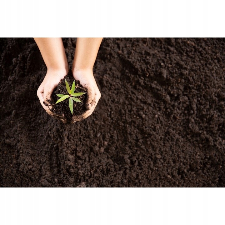 PODŁOŻE DO KWIATÓW ROŚLIN i PALM ZIEMIA UNIWERSALNA Z NAWOZEM COMPO