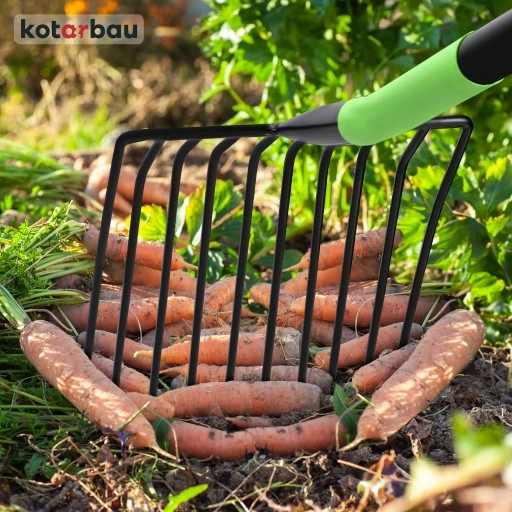 WIDŁY 10 ZĘBNE BURAKÓW ZIEMNIAKÓW KAMIENIA GABLE