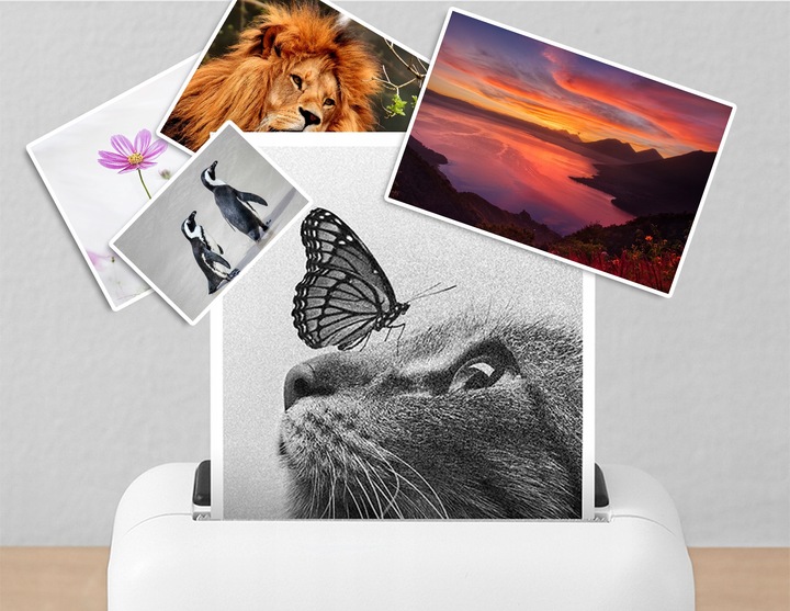 4x TUSZ DO EPSON 664 XL EcoTank L3060 L3050 L210