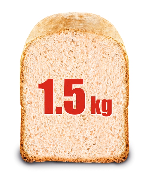 Wypiekacz do chleba TEFAL PF6101 1600 W bagietki