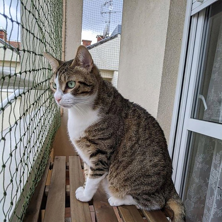 SIATKA DLA KOTA NA BALKON Z DRUCIKIEM ZESTAW 2 x 5