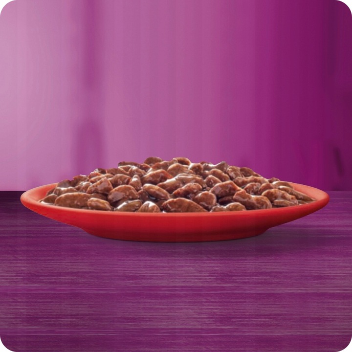 KARMA MOKRA WHISKAS KLASYCZNE POSIŁKI W SOSIE SASZETKI 40X85G