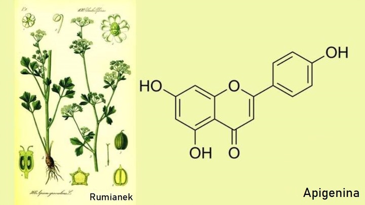 Apigenina Apigenin APIAGE (r) Eternalis z grejpfruta czerwonego 15g proszek