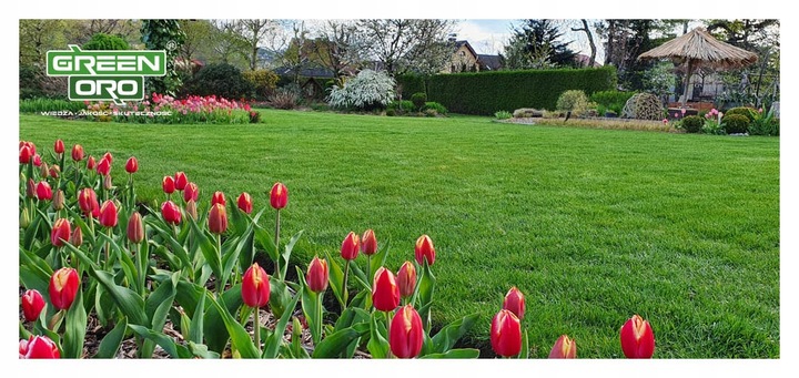 Nawóz do Trawnika Iglaków Tui Róż REGENERACYJNY 10kg CHISSO SAI SEI