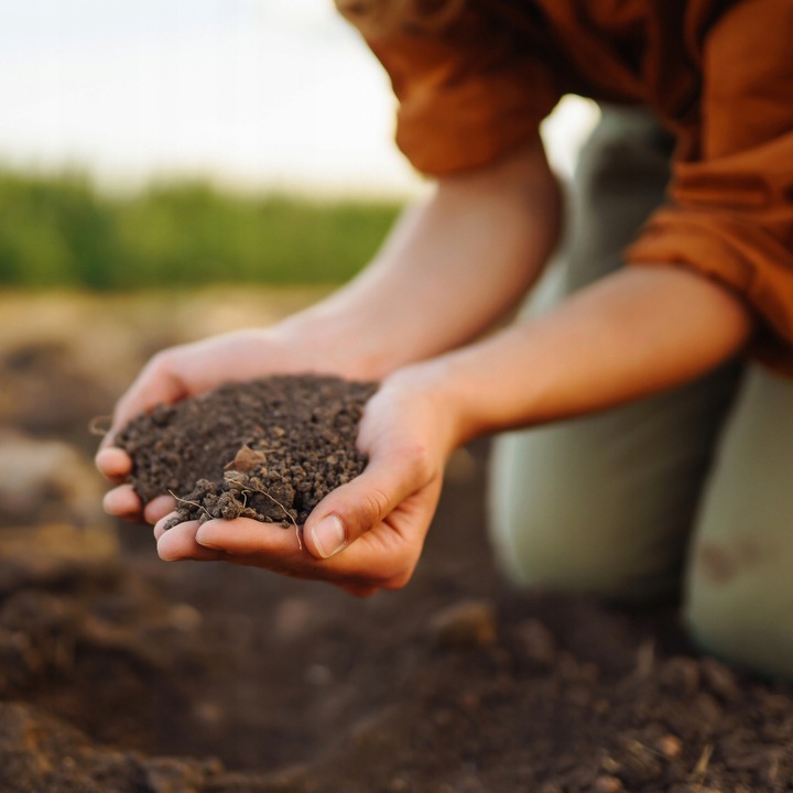 Wapno Ogrodowe Nawozowe Idealne Do Warzyw Owoców JESIEŃ Dolomit Sypki