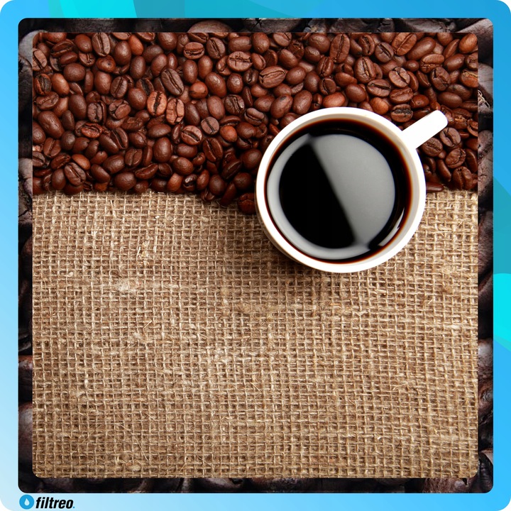 PHILIPS SAECO ODKAMIENIACZ EKSPRES 500ml CA6700/10 uniwersalny