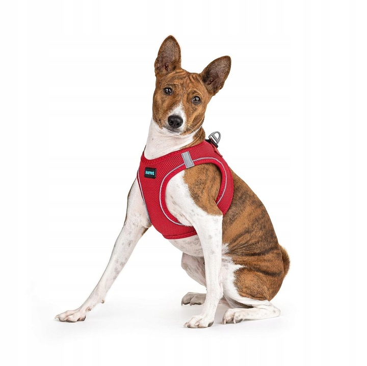 MOCNE SZELKI BEZUCISKOWE DLA PSA, KOTA M 44-48 cm + GRATIS SMACZKI