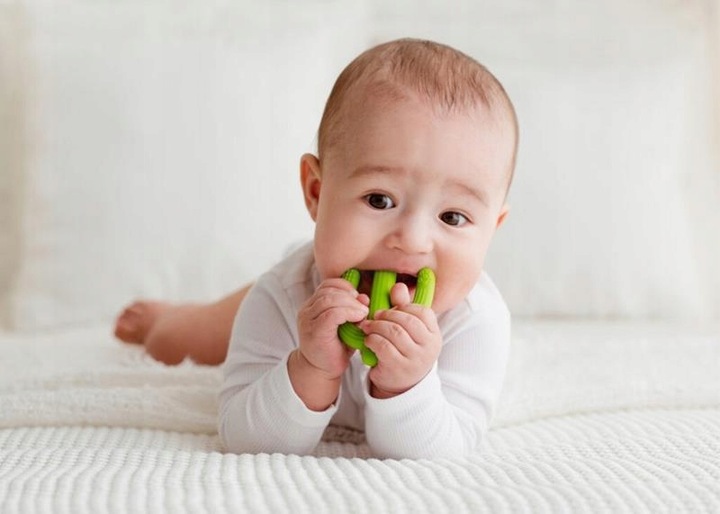 GiliGums DUMEL GRYZAK SZCZOTECZKA DO ZĘBÓW KAKTUS