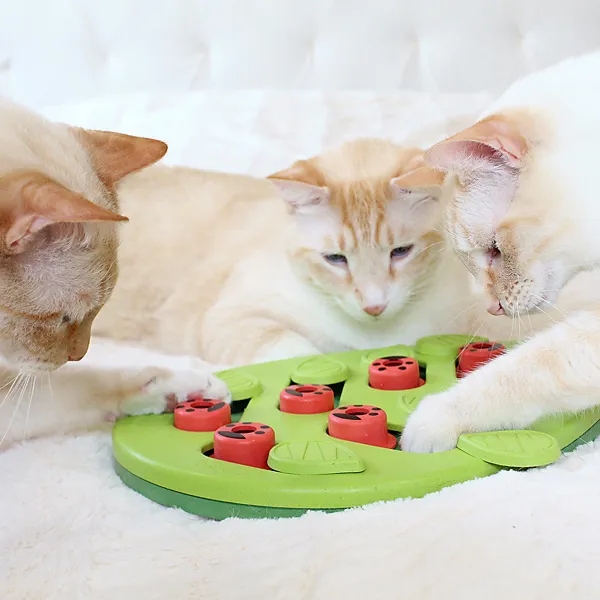 Nina Ottosson Cat Buggin' Out Puzzle & Play