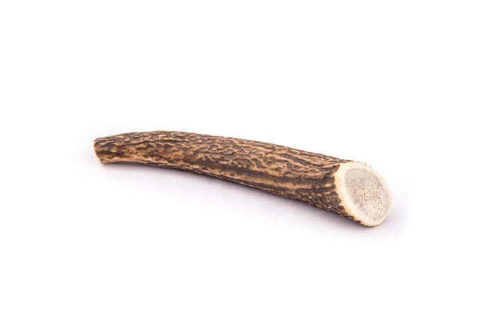 4DOGS Gryzak z poroża - poroże jelenia L hard